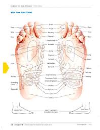 Reflexology Vita Flex Foot Chart Tawnyas Essential Oils