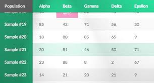 beautiful css html table templates