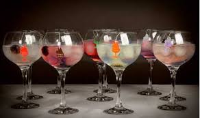 Infugintonic y Vinopremier crean el gin&tonic perfecto - Bodega