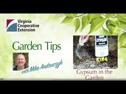 Garden Tip 19 When To Use Gypsum
