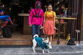 matching dog and owner halloween costumes