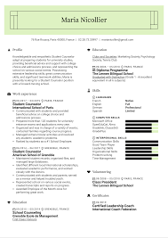 Student cv templates approved by recruiters. Student Counselor Resume Sample Kickresume