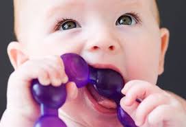 We have lotsof 6 month baby photo shoot ideas for anyone to go with. When Do Babies Start Teething Symptoms Signs Pain Remedies