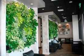 A wide variety of indoor plant wall options are available to you, such as material, plant type. Green Wall With Live Plants Livewall Natural Indoor