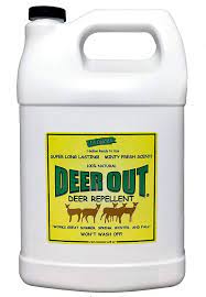 deer out deer repellent 1 gallon