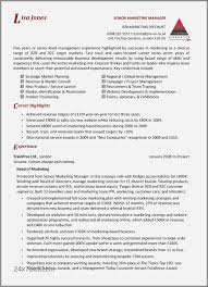 Marketing Manager Resume Examples Awesome It Resume Examples Awesome