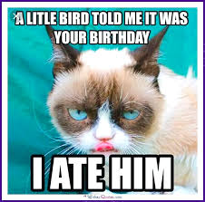 Image result for cat birthday meme