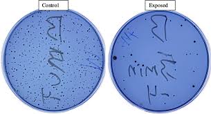 evaluation of bactericidal effects of