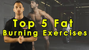 lose belly fat fast best workout