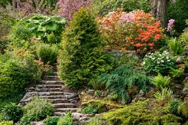 See more ideas about backyard, sloped backyard, hillside deck. Un Jardin En Pente Agencer Et Amenager Un Jardin En Pente