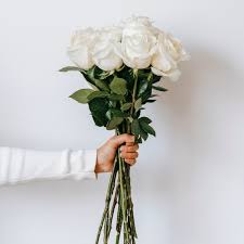 the meaning of white roses article