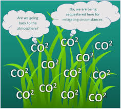 carbon sequestration and the ocean: how
