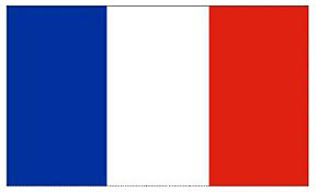 Image result for french flag