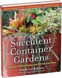 Succulent Container Gardens By Debra