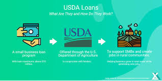 usda business loans everything you