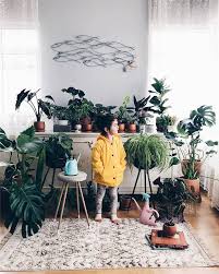 7 indoor plants decoration ideas to