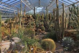 Besonders farbenprächtig präsentiert sich derzeit der schmuckhof. Botanischer Garten Munchen Exotische Pflanzen Und Tiere Entdecken