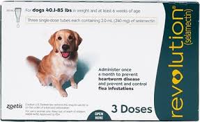 Revolution Topical Solution For Dogs 40 1 85 Lbs 3 Treatments Teal Box