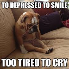 To depressed to smile too tired to cry - depressed dog - quickmeme via Relatably.com