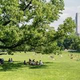 Can you picnic anywhere in Central Park?