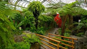 Montreal Botanical Garden Pictures