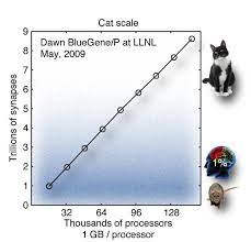 Sinapsis: IBM realiza la mayor simulación neuronal equivalente al neocortex del cerebro de un gato