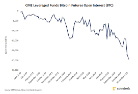 Hedge bitcoin exposure or harness its performance with futures and options on futures developed by the leading and largest derivatives marketplace. Cme Leveraged Funds Double Down On Shorts As Bitcoin Maintains 19 000 Coindesk