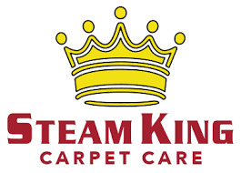 steam king carpet cleaning in palm