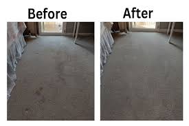 carpet cleaning in charlotte nc dry