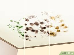 How To Remove Ceiling Mold Diy Methods
