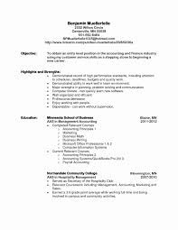 Cv Objective Examples It Hospitality Objective Resume Samples New