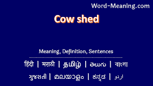 cow shed meaning in marathi cow shed