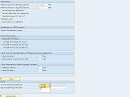Payment Advice configuration and activation for di... - SAP Community gambar png