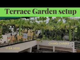 Terrace Garden Setup Chennai