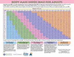 Vector Fitness Bmi Chart With Male Silhouettes High Quality