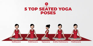 sitting yoga poses seated yoga poses