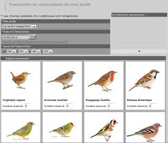 Accueillir les oiseaux au jardin : Participer A L Operation Oiseaux Des Jardins Www Faune Drome Org