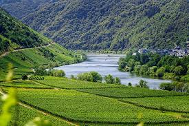 From mapcarta, the free map. Mosel River Vineyards Wine Vines The Moselle Valley Germany Water View River Landscape Pxfuel