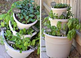 5 Diy Vertical Garden Ideas For Your Home