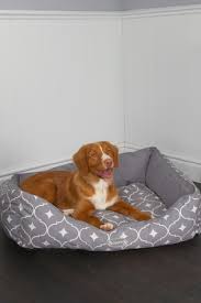 Choosing the right dog bed will provide your pet with the refuge and space that. Buy Washable Medium Breed Casablanca Geo Pet Bed By Scruffs From The Next Uk Online Shop