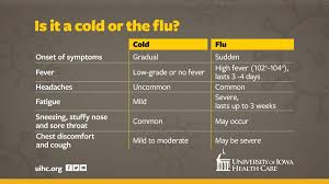 Knowing The Difference Between A Cold And The Flu