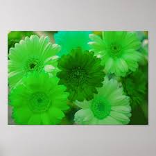 Green Gerbera Daisy Flowers Wall Art