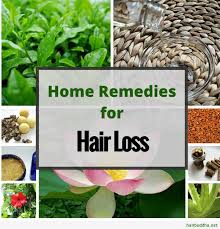 top 10 natural remes for hair loss
