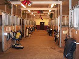 get the right flooring for your horse barn