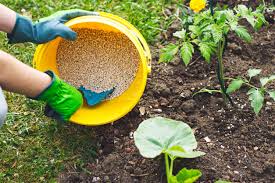 vegetable garden fertilizers types of