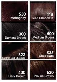 loreal hair color hair color chocolate