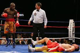 Image result for boxing knockout