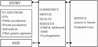 The Flow Chart Of Community Mental Health System Download