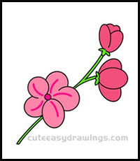 It consist of branches to flowers to single leaves and buds. How To Draw Flowers Drawing Tutorials Drawing How To Draw Flowers Blossoms Petals Drawing Lessons Step By Step Techniques For Cartoons Illustrations