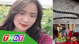 Đang ngủ trong nhà, cô gái trẻ bị rắn cạp nia cắn t.ử v.o.n.g ở Nghệ An